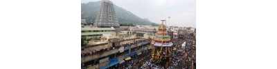 236. திருவண்ணாமலை